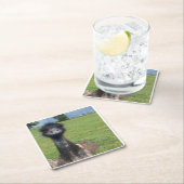 Naar welke EMU kijkt u? Kartonnen Onderzetters (Insitu)