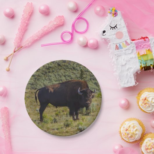 Naar wie je kijkt papieren bordje (Feest)