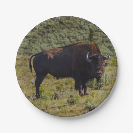 Naar wie je kijkt papieren bordje (Voorkant)