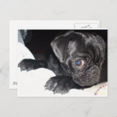 Naar wie kijk je? briefkaart (Voorkant / Achterkant)