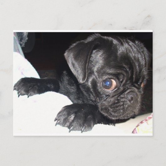 Naar wie kijk je? briefkaart (Voorkant)