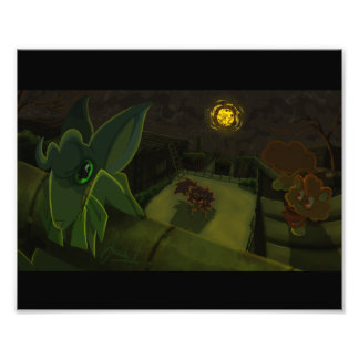 Naar zone gaan foto afdruk