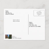 Naast de Dallas Kerstboom Dank je Briefkaart (Achterkant)