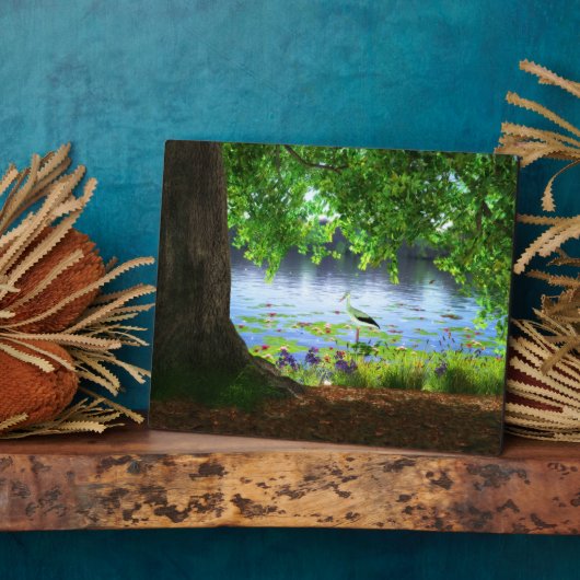 Naast de stille watervlakte fotoplaat (Zijkant)