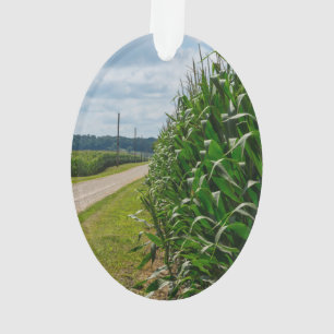 Naast een Gebied van het Graan Ornament