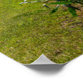 Naast een kornveld poster (Hoek)