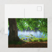 Naast het stille Briefkaart (Voorkant / Achterkant)