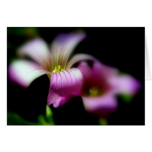 Naast je altijd/liefdesbruiloft (Voorkant Horizontaal)