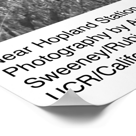 Nabar Hopland Station door Ansel Adams Poster (Hoek)