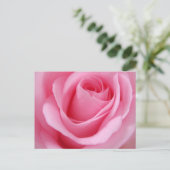 Nabij beeld van roze roos bloem briefkaart (Staand voorkant)