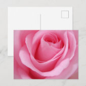Nabij beeld van roze roos bloem briefkaart (Voorkant / Achterkant)