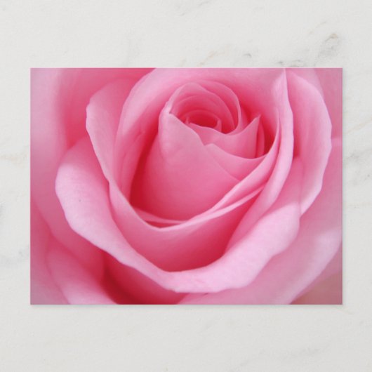 Nabij beeld van roze roos bloem briefkaart (Voorkant)
