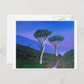 Nabij de DMZ Zuid-Korea Briefkaart (Voorkant / Achterkant)