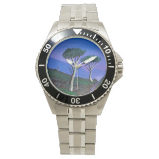 Nabij de DMZ Zuid-Korea Horloge