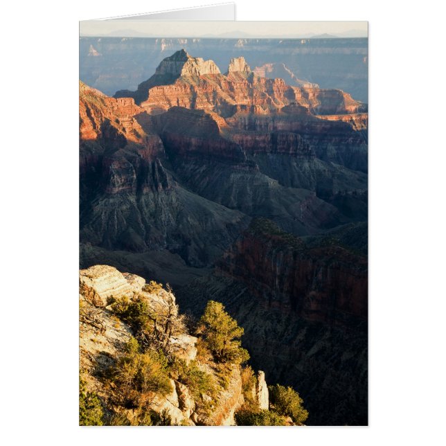 nabij de rand (Voorkant)