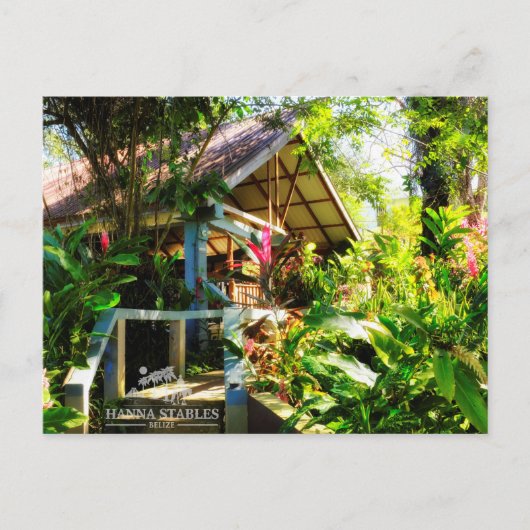 Nabitunich Stone Cottages Belize-postkaart Briefkaart (Voorkant)