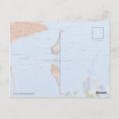 nabootsing briefkaart (Achterkant)