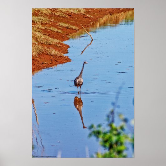 nabootsing poster (Voorkant)