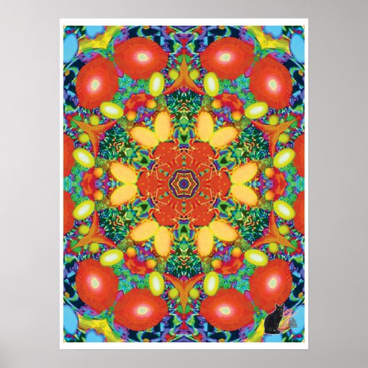 Nacho Kinetic Collage Kaleidoscoop Poster (Voorkant)