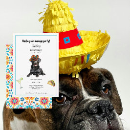 Nacho Uw Gemiddelde Hond Sombrero Uitnodiging