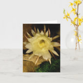 NACHT BLOOMING CEREUS KAART (Gele Bloem)