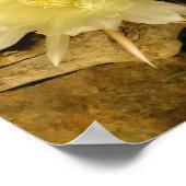 NACHT BLOOMING CEREUS POSTER (Hoek)