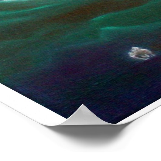 Nacht Devine. Poster (Hoek)