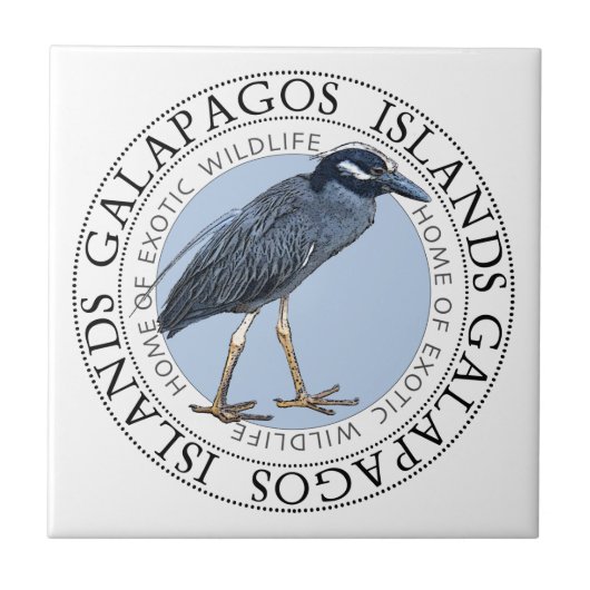 Nacht Heron Galapagos Eilanden Tegeltje (Voorkant)