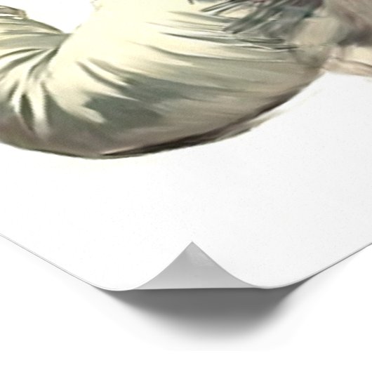 Nacht in de opera poster (Hoek)