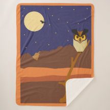 Nacht in de woestijn