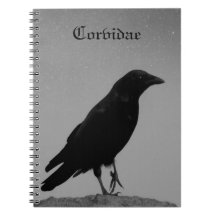 Nacht met Corvidae