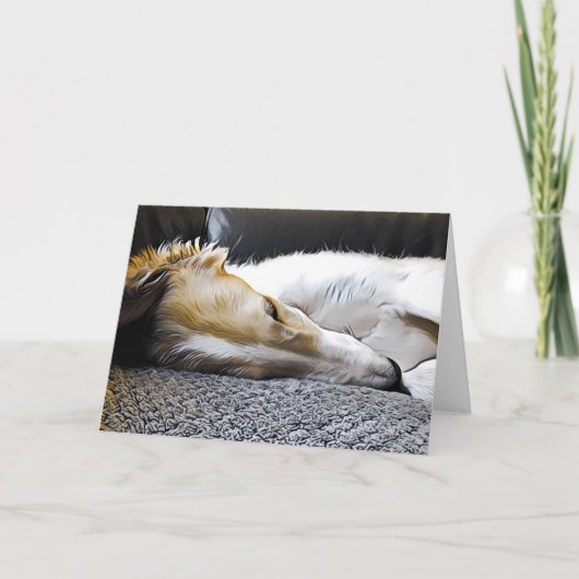 Nacht Nacht Borzoi Aankondiging (Voorkant)