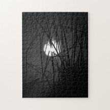 Nacht op de Pond Puzzle