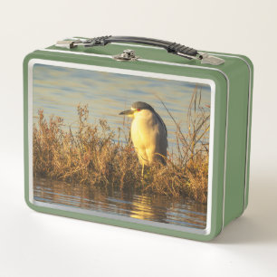 Nacht Reiger Lunchbox Gouden Moeras Wildlife