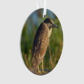 Nacht Reiger Vogel Foto Ornament  (voorkant)