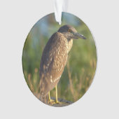 Nacht Reiger Vogel Foto Ornament  (voorkant)