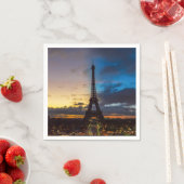 Nacht tot dag over Eiffeltoren uit Trocadero Servet (Insitu)
