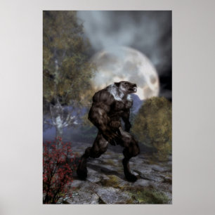 Nacht van de wolf poster