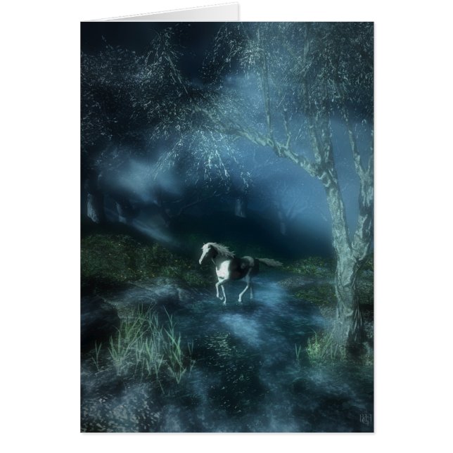 Nacht van het witte paard (Voorkant)