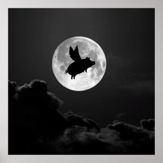 nacht vliegend varken - 20 x 24 inch poster (Voorkant)
