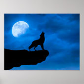 Nacht Wolf Poster (Voorkant)