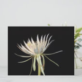 Nachtbloeiende cactus-bloemkaart (Staand voorkant)