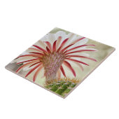 Nachtbloeiende cactuusbloem tegeltje (Zijkant)