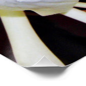 Nachtbloeiende hertshoornvaren poster (Hoek)