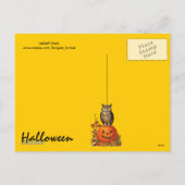 NACHTDIER VOLLE MAAN EN STERRENNACHT FEESTDAGENKAART (Achterkant)