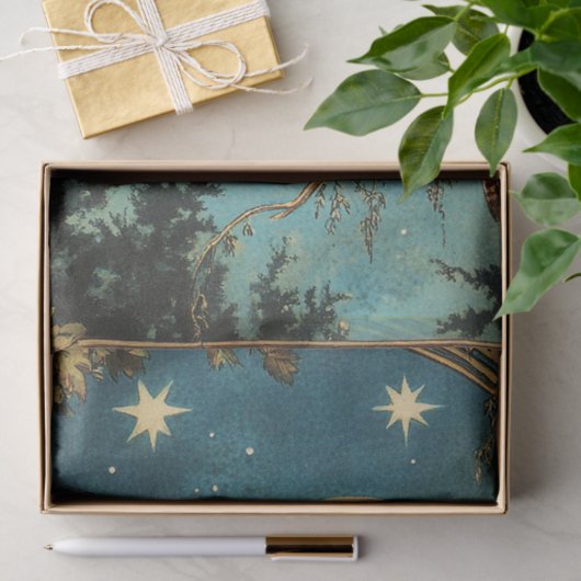 NACHTDIER VOLLE MAAN EN STERRENNACHT TISSUEPAPIER (Geschenk)