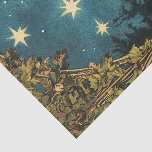 NACHTDIER VOLLE MAAN EN STERRENNACHT TISSUEPAPIER (Detail)