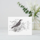 nachtegaal briefkaart (Staand voorkant)