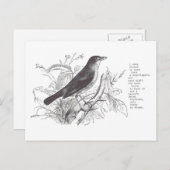 nachtegaal briefkaart (Voorkant / Achterkant)