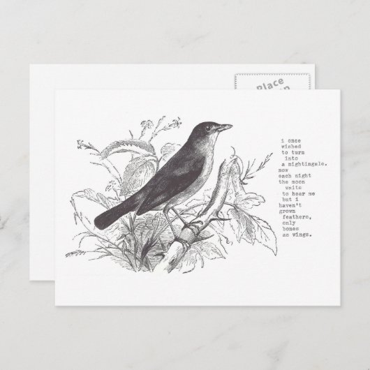 nachtegaal briefkaart (Voorkant / Achterkant)